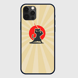 Чехол для iPhone 12 Pro Max Кот-ниндзя, цвет: 3D-черный
