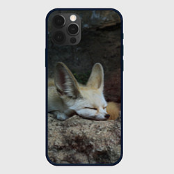 Чехол для iPhone 12 Pro Max Фенек, цвет: 3D-черный