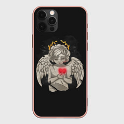 Чехол iPhone 12 Pro Max Разбитый ангел