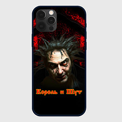 Чехол iPhone 12 Pro Max Король и шут Горшок