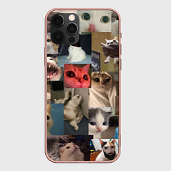 Чехол iPhone 12 Pro Max Мемные котики
