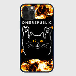 Чехол iPhone 12 Pro Max OneRepublic рок кот и огонь