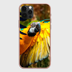Чехол iPhone 12 Pro Max Взлёт попугая