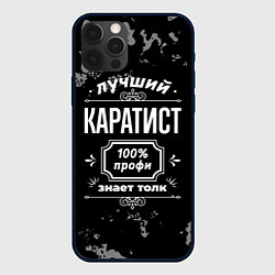 Чехол iPhone 12 Pro Max Лучший каратист: 100% профи