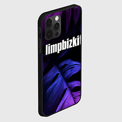 Чехол для iPhone 12 Pro Max Limp Bizkit neon monstera, цвет: 3D-черный — фото 2