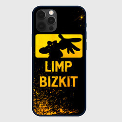 Чехол iPhone 12 Pro Max Limp Bizkit - gold gradient