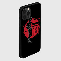 Чехол для iPhone 12 Pro Max Муген - Samurai Champloo, цвет: 3D-черный — фото 2