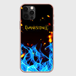 Чехол iPhone 12 Pro Max Evanescence огонь рок группа