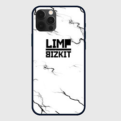 Чехол для iPhone 12 Pro Max Limp bizkit storm black, цвет: 3D-черный