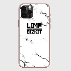 Чехол для iPhone 12 Pro Max Limp bizkit storm black, цвет: 3D-светло-розовый