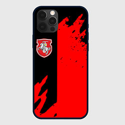 Чехол для iPhone 12 Pro Max Белоруссия краски текстура, цвет: 3D-черный