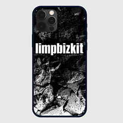 Чехол iPhone 12 Pro Max Limp Bizkit black graphite