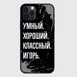 Чехол для iPhone 12 Pro Max Умный хороший классный: Игорь, цвет: 3D-черный