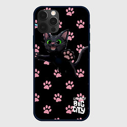 Чехол iPhone 12 Pro Max Little kitty