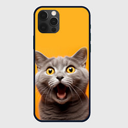 Чехол iPhone 12 Pro Max Удивленный кот