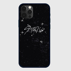 Чехол iPhone 12 Pro Max Stray Kids жидкий металл