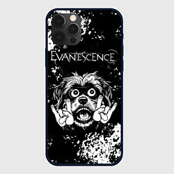 Чехол для iPhone 12 Pro Max Evanescence рок пес, цвет: 3D-черный