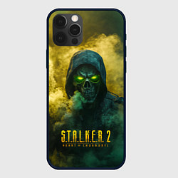 Чехол iPhone 12 Pro Max Stalker 2 череп