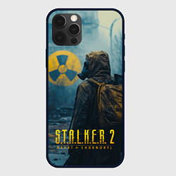 Чехол для iPhone 12 Pro Max Stalker 2 зараженная зона, цвет: 3D-черный