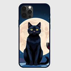 Чехол iPhone 12 Pro Max Кот с вином под луной