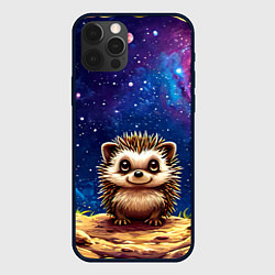 Чехол iPhone 12 Pro Max Ежик и звездное небо