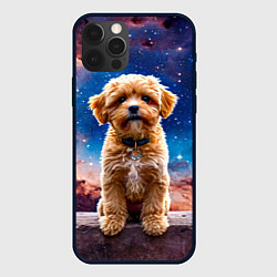 Чехол для iPhone 12 Pro Max Мальтипу в космосе, цвет: 3D-черный