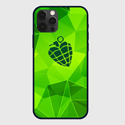 Чехол для iPhone 12 Pro Max Green Day green poly, цвет: 3D-черный
