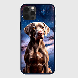 Чехол для iPhone 12 Pro Max Веймаранер в космосе, цвет: 3D-черный