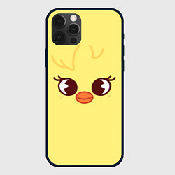 Чехол для iPhone 12 Pro Max BbokAri skzoo, цвет: 3D-черный