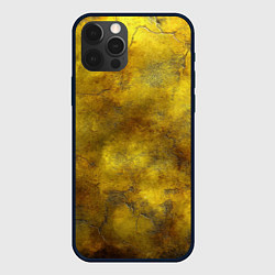 Чехол для iPhone 12 Pro Max Золотая ржавая текстура, цвет: 3D-черный