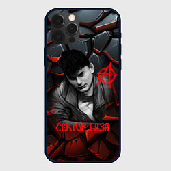 Чехол для iPhone 12 Pro Max Юрий Хой Сектор газа портрет на камнях, цвет: 3D-черный