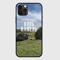 Чехол для iPhone 12 Pro Max Конь-Камень на Красивой Мече, цвет: 3D-черный
