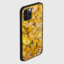 Чехол для iPhone 12 Pro Max Осенние краски - текстура листвы, цвет: 3D-черный — фото 2