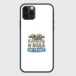 Чехол iPhone 12 Pro Max Под лежачий камень бежевый арт