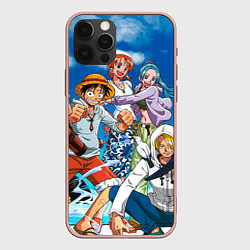 Чехол iPhone 12 Pro Max One Piece