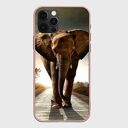Чехол iPhone 12 Pro Max Дикий слон