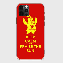 Чехол iPhone 12 Pro Max Keep Calm & Praise The Sun