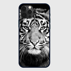 Чехол iPhone 12 Pro Max Красавец тигр