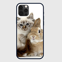 Чехол для iPhone 12 Pro Max Кот и кролик пушистые, цвет: 3D-черный