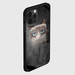 Чехол для iPhone 12 Pro Grumpy Cat, цвет: 3D-черный — фото 2