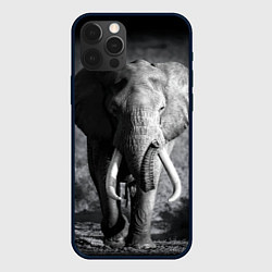 Чехол iPhone 12 Pro Бегущий слон