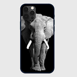 Чехол iPhone 12 Pro Старый слон