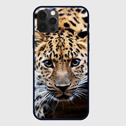 Чехол для iPhone 12 Pro Дикая кошка, цвет: 3D-черный