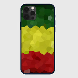 Чехол для iPhone 12 Pro Эфиопия, цвет: 3D-черный