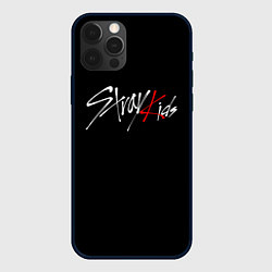 Чехол для iPhone 12 Pro STRAY KIDS, цвет: 3D-черный