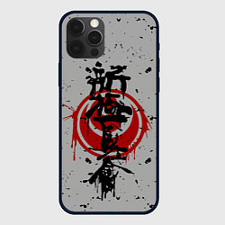 Чехол для iPhone 12 Pro Синкёкусинкай каратэ - до, цвет: 3D-черный