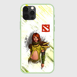 Чехол iPhone 12 Pro Windranger