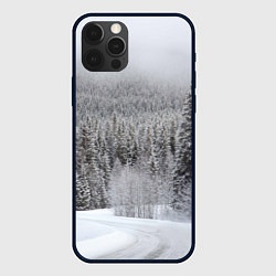 Чехол для iPhone 12 Pro Зимняя природа, цвет: 3D-черный