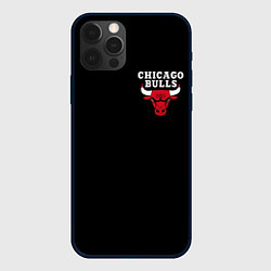 Чехол для iPhone 12 Pro CHICAGO BULLS, цвет: 3D-черный