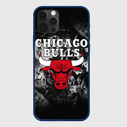 Чехол iPhone 12 Pro CHICAGO BULLS